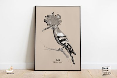 narysowany dudek – artystyczny plakat