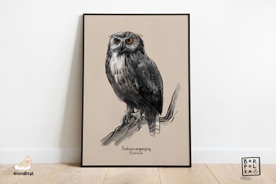 narysowany puchacz zwyczajny – artystyczny plakat