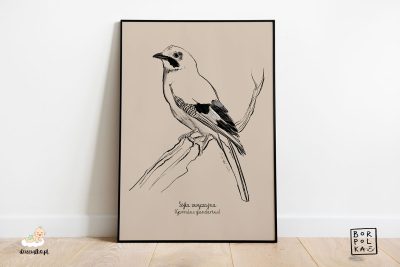 narysowana sójka zwyczajna – artystyczny plakat